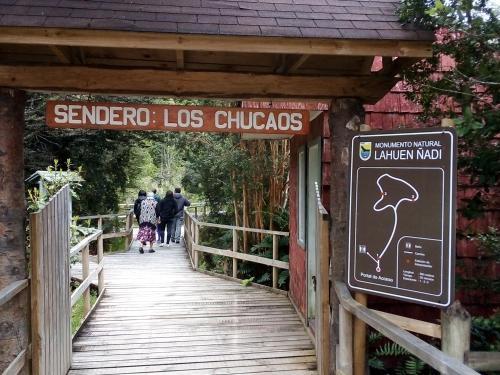 Lodge Caba�as Isidora Tepual