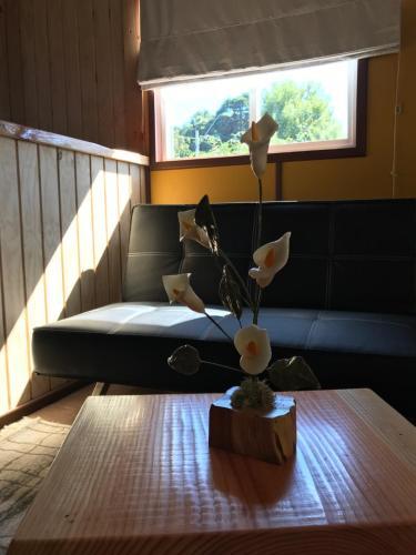 Apartamento Caba�as Kalfukura