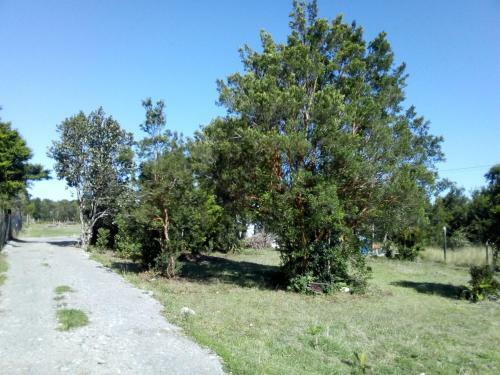 Agroturismo Caba�as Los Ulmos Puerto Montt