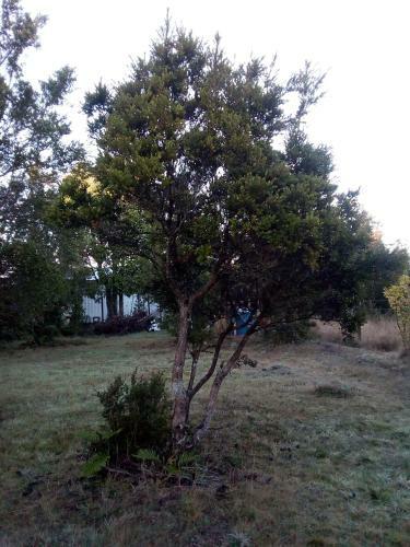 Agroturismo Caba�as Los Ulmos Puerto Montt