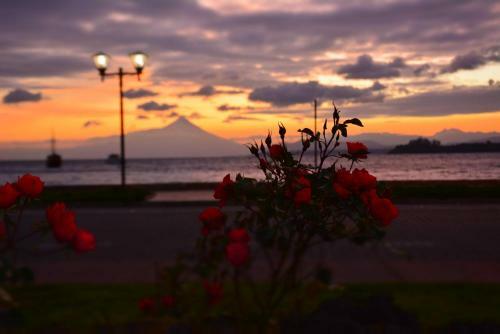 Bh Apartments Puerto Varas