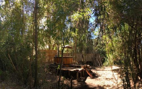Agroturismo Bosque Nativo Lodge