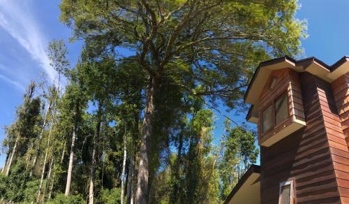 Agroturismo Bosque Nativo Lodge