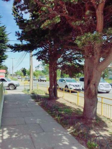 Albergue Hostal Gran V�a