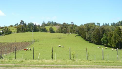 Agroturismo El Cipres De Aldachildo