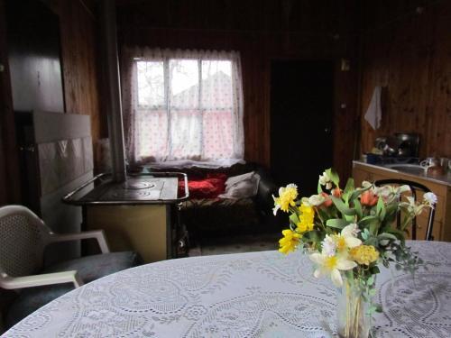 Agroturismo Cabanas Aucho Playa