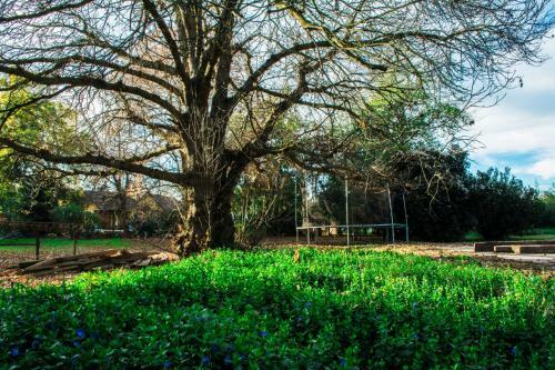 Bed & Breakfast Cruz De Triana