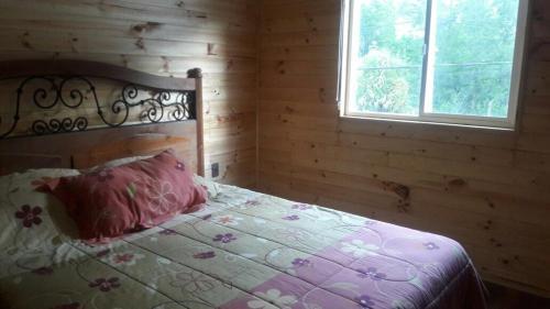 Caba�a San Alfonso Cajon Del Maipo
