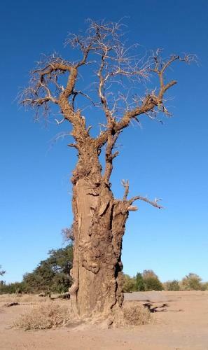Agroturismo Ojo Del Desierto