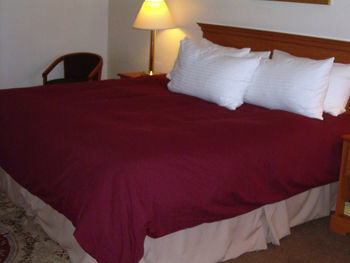 Hotel Best Western Nellis Motor Inn