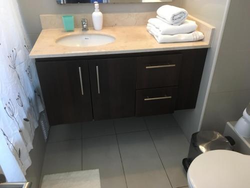 Apartamento Departamento En Providencia