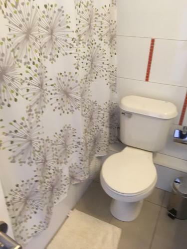 Apartamento Departamento En Providencia