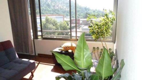 Apartamento Depto 2 Suite Bellavista Parking
