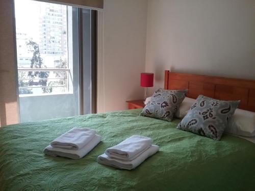 Apartamento Santiago Downtown San Isidro 337