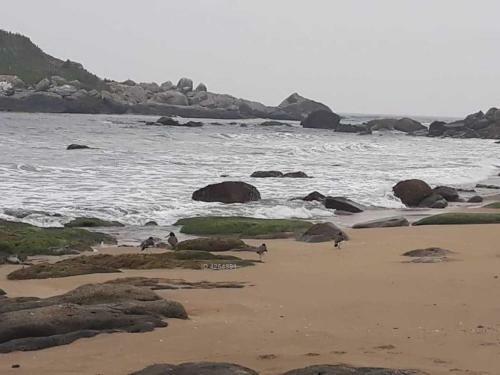 Apartamento Maitencillo , Playa , Primera Linea