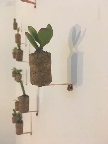 Apartamento Gallery House_val