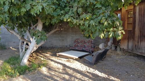 Lodge Caba�a Lunoma