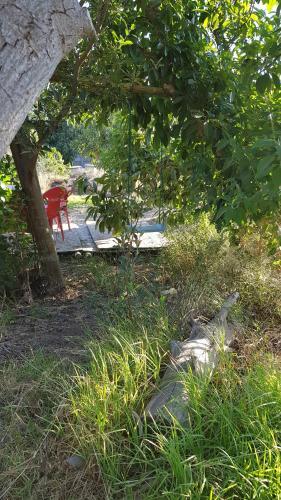 Lodge Caba�a Lunoma