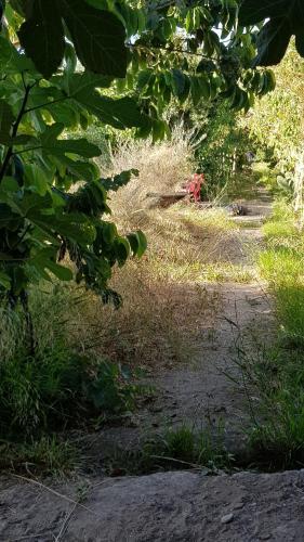 Lodge Caba�a Lunoma