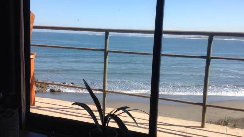 Apartamento Cabanas Pinguino En La Roca