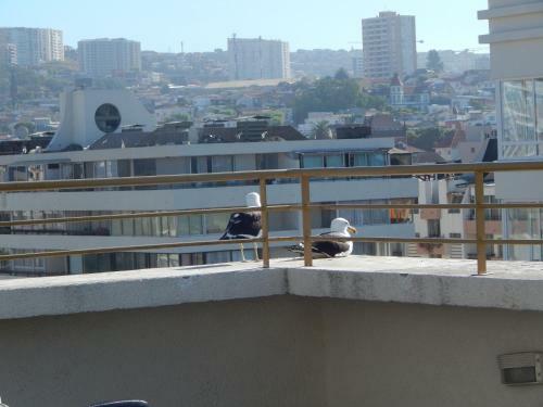 Apartamento 506 Departamento Vs Centro Vi�a
