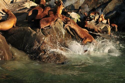 Lodge Caba�as Y Turismo Lahuan