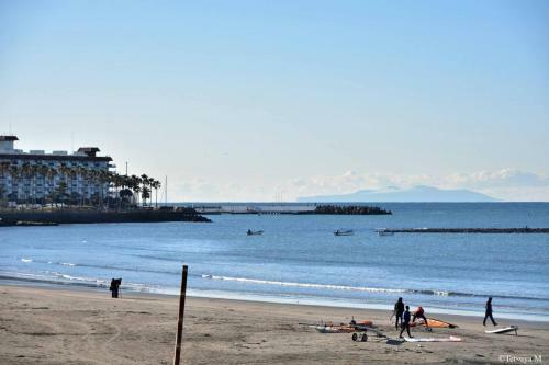 Kohaku Amber Kamakura Zaimokuza