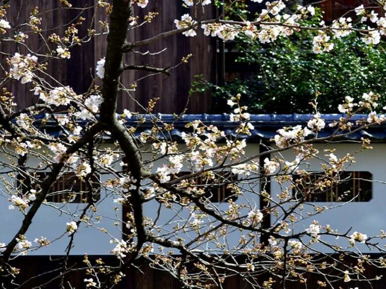 Hostal Kyoto Gion Kiraku Inn