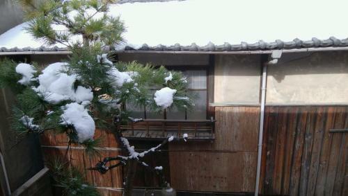 Hostal Kyoto Guesthouse Hostel Ayame