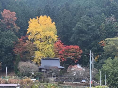 Agroturismo Tokuheian