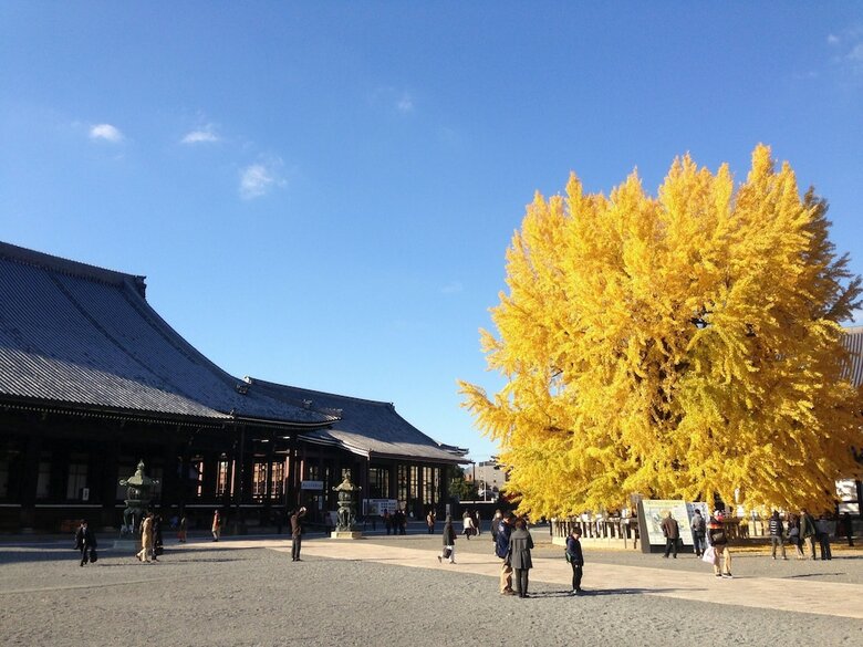 Apa Hotel Kyoto Ekikita