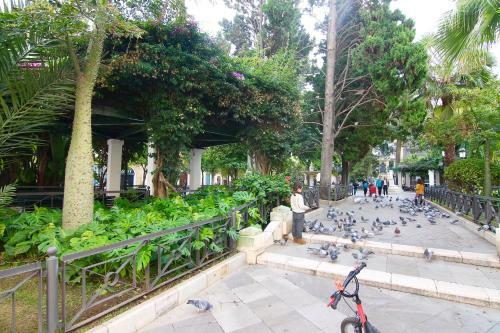 Apartamento Balcones Del Privilegio