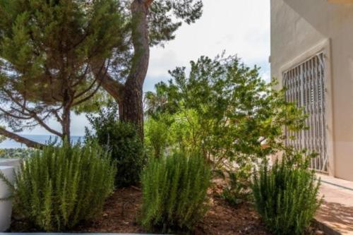 Cala Tarida Villa Sleeps 4 Pool Air Con T251912