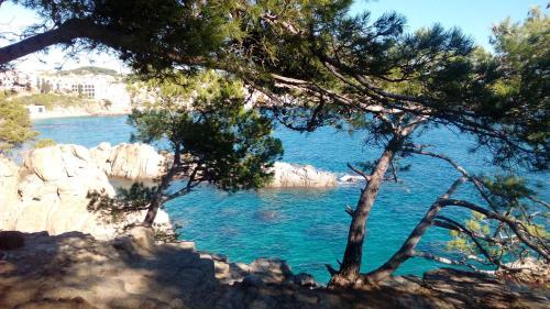 Calella De Palafrugell Apartment Sleeps 4 T425112