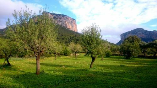 Hostal Ca Na Carme (ca Na Carme Alaronera)