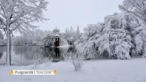 Holiday Home Carrer Puigcerda