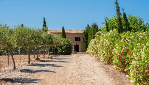Finca Paradis Mhm
