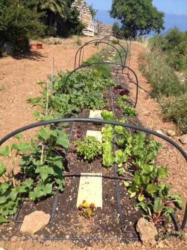 Agroturismo Banyalmar