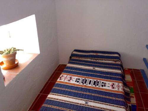 Apartamento Studio Calle Ntra. Sra. De La Oliva