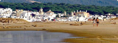 Apartamento Studio Calle Ntra. Sra. De La Oliva