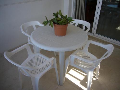 Apartamento Gemelos 22 - Fincas Arena