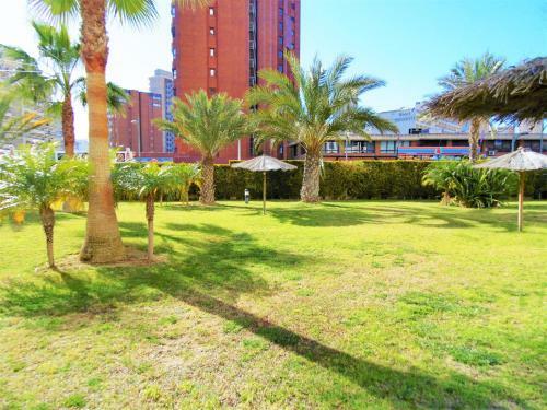 Apartamento Gemelos 26-t2-6-c