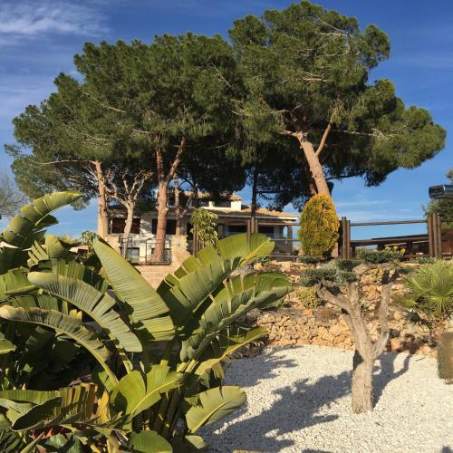 Hotel Casa Rural Canelobre