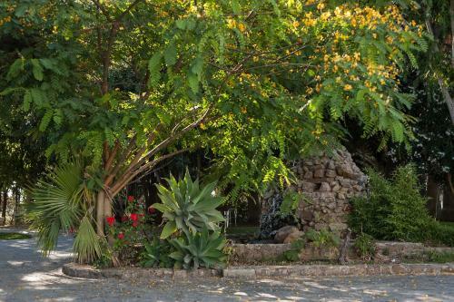 Apartamento La Jandeta 7