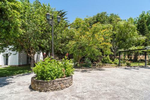 Apartamento La Jandeta 7