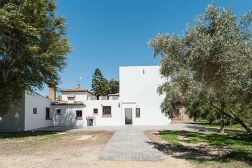 Apartamento La Jandeta 7
