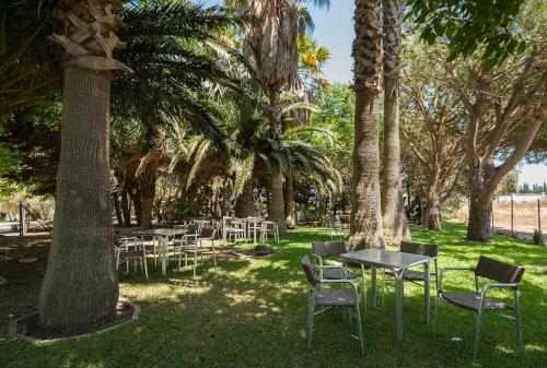 Apartamento La Jandeta 7