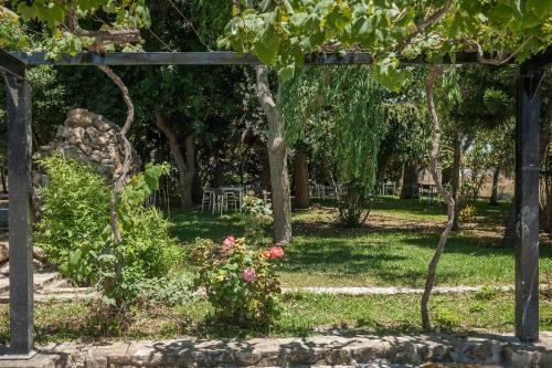 Apartamento La Jandeta 7