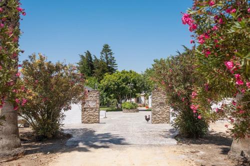 Apartamento La Jandeta 5