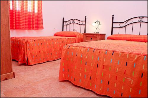 Bungalow En Conil Con Piscina